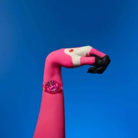 Paradise Petals