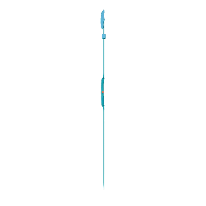 Radiantly Teal